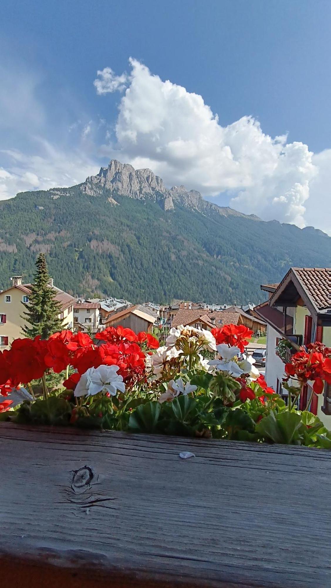 Hotel Vigo Vigo di Fassa Dış mekan fotoğraf